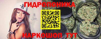 стафф Лесосибирск